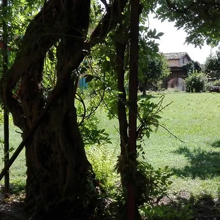 La Valle Dei Ri *